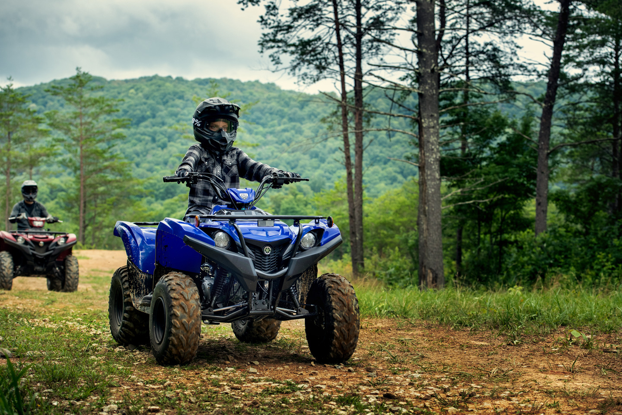 All-New 2019 Yamaha Grizzly 90 Youth ATV