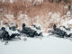 220321 Taiga Begins Deliveries of Electric Snowmobiles (678)