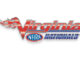 Virginia NHRA Nationals logo (678.1)
