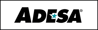 Custom Text